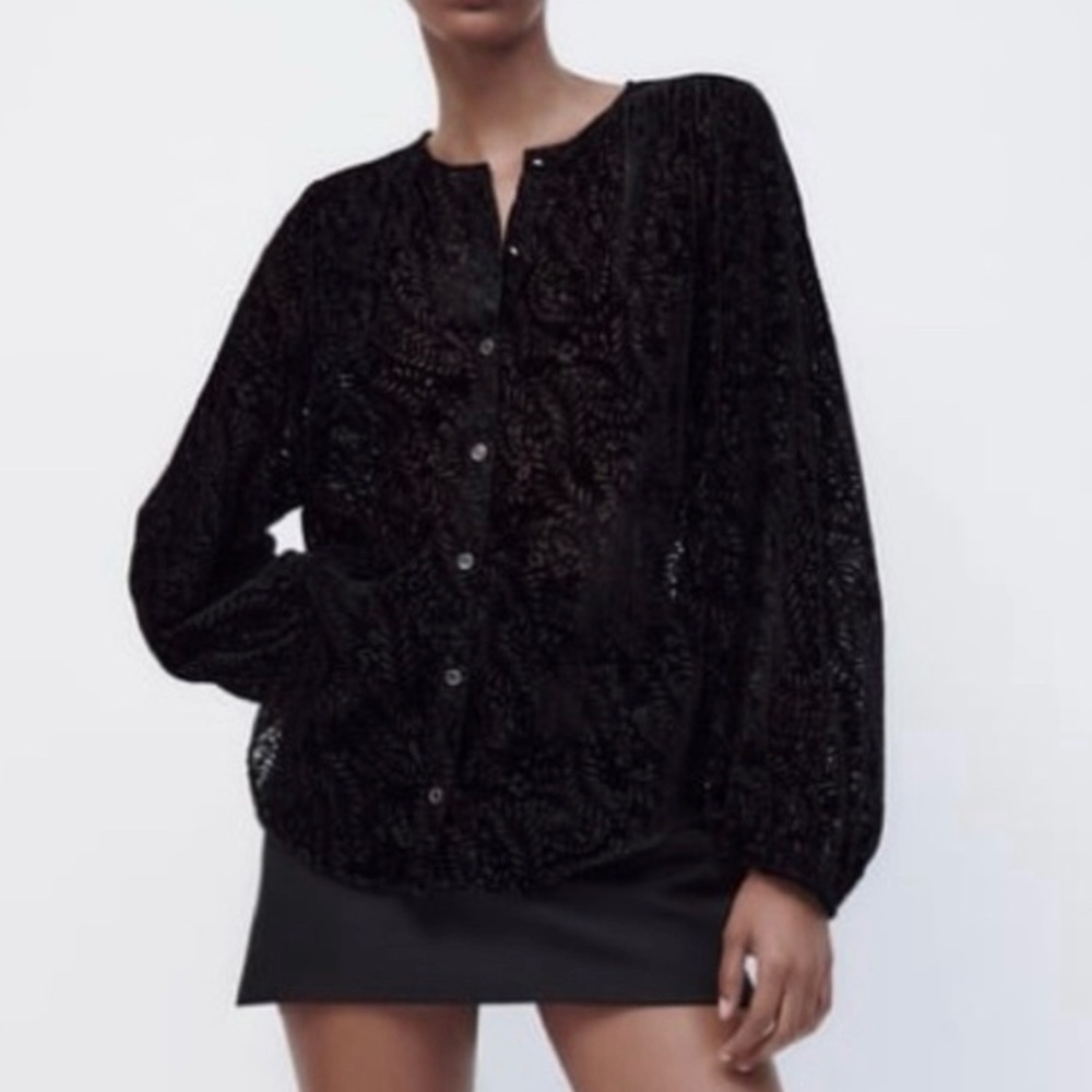 Zara Contrast Velvet Sheer Blouse with Puff Sleeves Size Small
